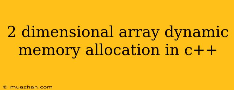 2 Dimensional Array Dynamic Memory Allocation In C++