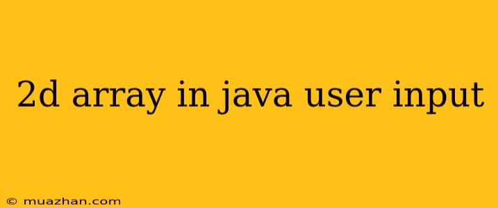 2d Array In Java User Input