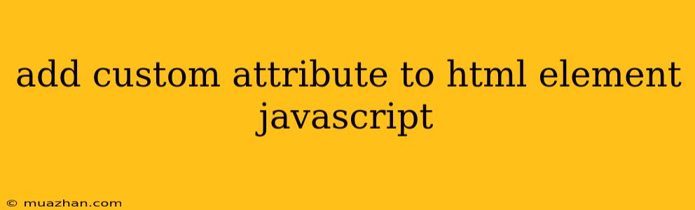 Add Custom Attribute To Html Element Javascript