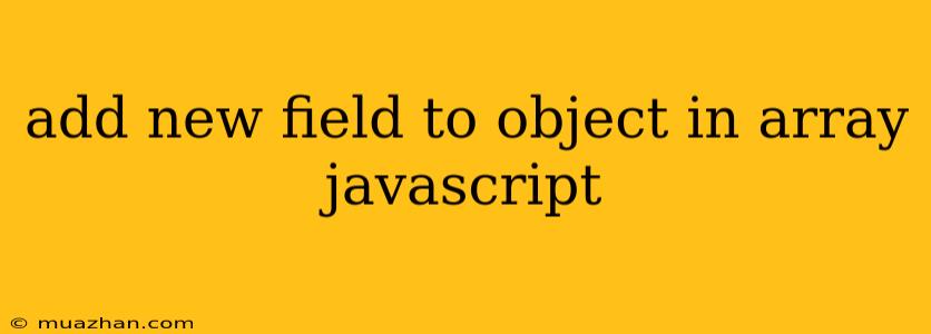 Add New Field To Object In Array Javascript