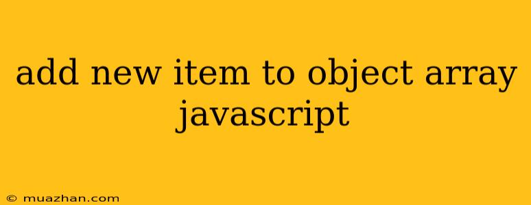 Add New Item To Object Array Javascript