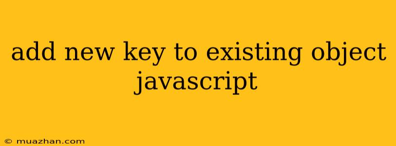 Add New Key To Existing Object Javascript