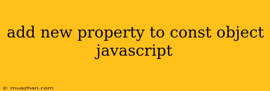 Add New Property To Const Object Javascript