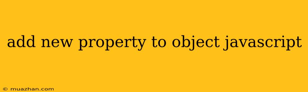 Add New Property To Object Javascript