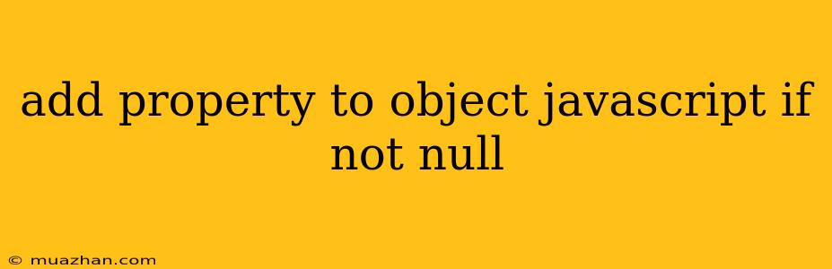 Add Property To Object Javascript If Not Null