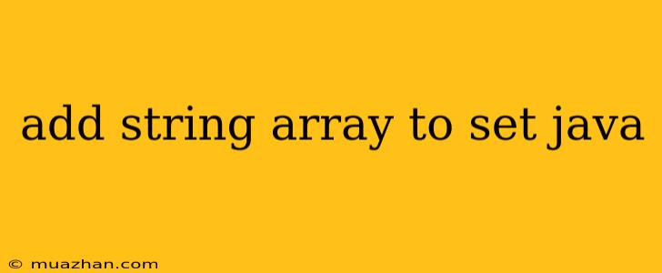 Add String Array To Set Java