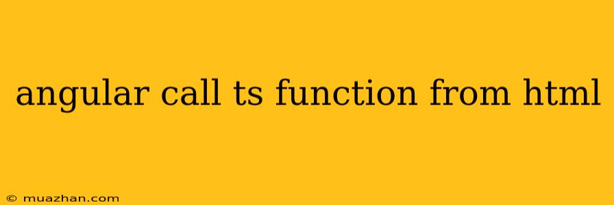 Angular Call Ts Function From Html