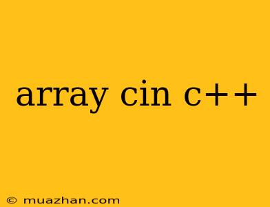 Array Cin C++