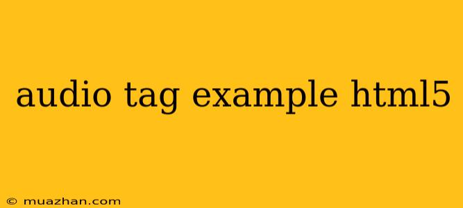 Audio Tag Example Html5