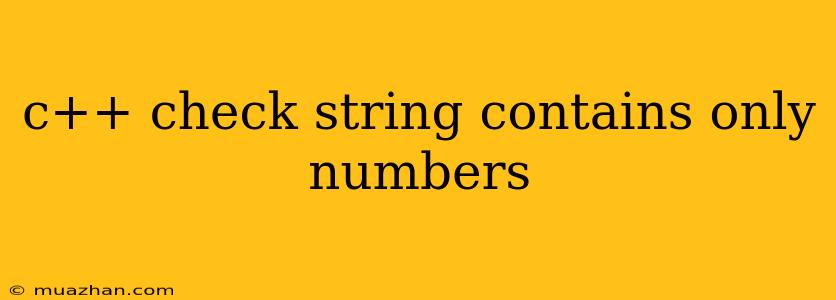 C++ Check String Contains Only Numbers