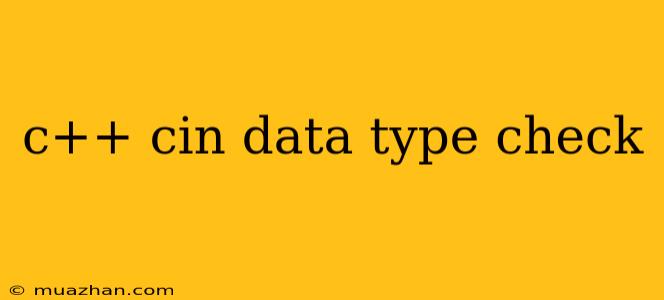C++ Cin Data Type Check