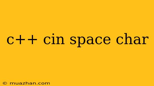 C++ Cin Space Char