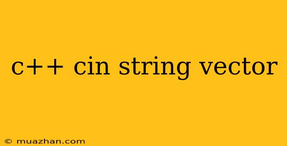 C++ Cin String Vector