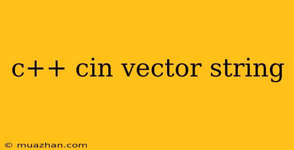 C++ Cin Vector String