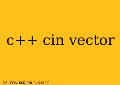 C++ Cin Vector