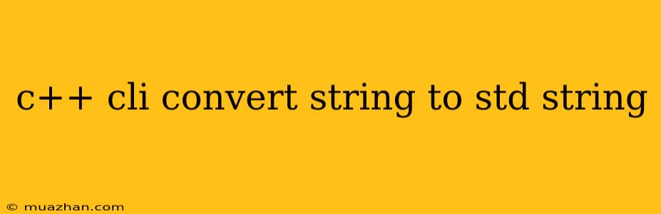 C++ Cli Convert String To Std String