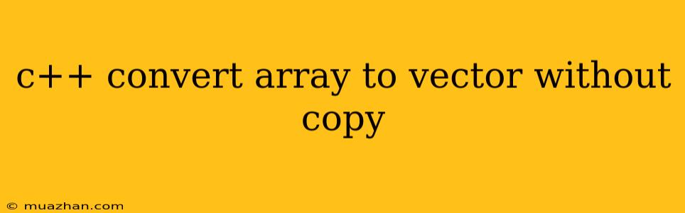 C++ Convert Array To Vector Without Copy