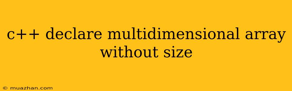 C++ Declare Multidimensional Array Without Size