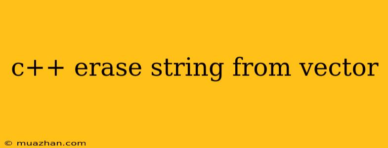 C++ Erase String From Vector