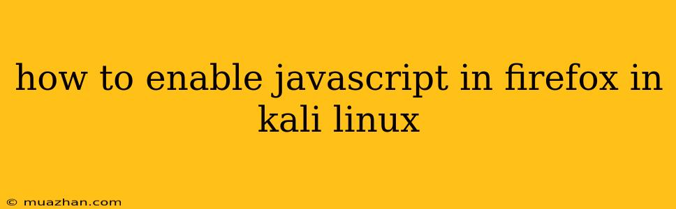 How To Enable Javascript In Firefox In Kali Linux